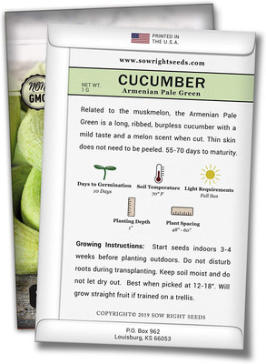 CYBEXIS XL-12 - Armenian Pale Green Cucumber - (1350 Seeds) Seed(1350 per packet)