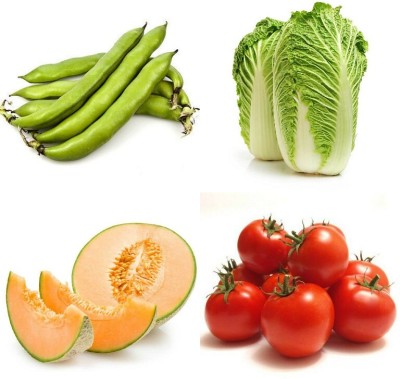 SimXotic Combo of Napa Cabbage, Muskmelon, Tomato & Bakla (GMO-FREE) Seed(4 per packet)