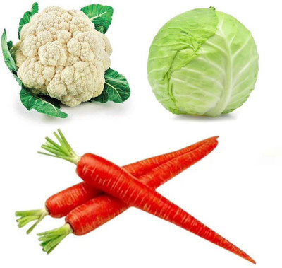 PSAgroinput Pattagobhi-PhoolGobhee-GAJAR pack of 3 Seed(100 g)