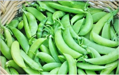 Qualtivate PUA-6A Super Sugar Snap Pea Seeds Seed(200 per packet)