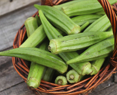 XOLDA Organic Okra Seed(15 per packet)