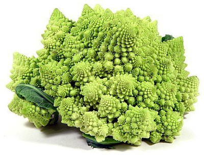 WILLVINE SYN -II Broccoli Romanesco Seeds Unique [1g] Seed(300 per packet)