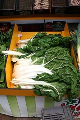 KNESSiN SWISS CHARD Beta Vulgaris White Perpetual Spinach[400 Seeds] Seed(400 per packet)