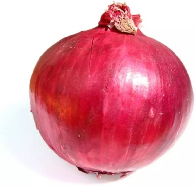 WATIKA Nasik Super Red (कांदा) Onion Seed(1200 per packet)