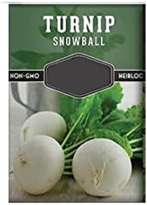 CYBEXIS Turnip Seed(2000 per packet)
