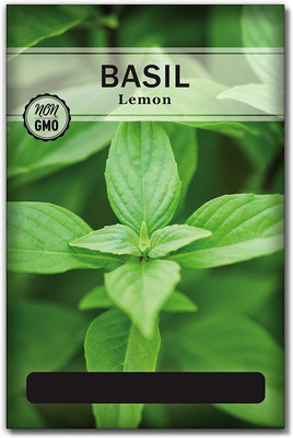 Qualtivate LXI-52 Organic Lemon Basil Seeds Seed(1000 per packet)
