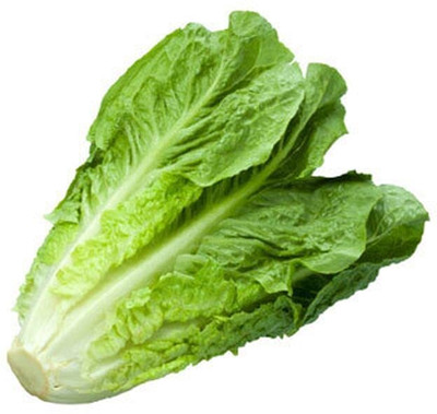 Aywal Gourmet Blend Lettuce Seed(275 per packet)