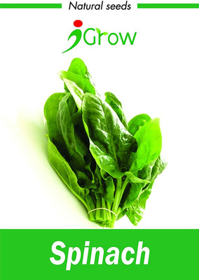CYBEXIS Spinach Seed(4000 per packet)