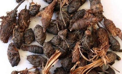 Elysian Enterprises Nagarmotha Root - Nut Sedge Root - Cyperus rotundus - Nut Grass Seed(1 kg)