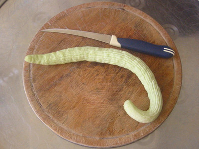 CYBEXIS XLL-86 - Cucumber Kakri - Long Melon - (1350 Seeds) Seed(1350 per packet)