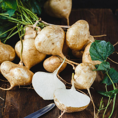 GreenHorizon Yam Bean / Jicama / sak aloo / saag aloo / sag alu Seed(10 per packet)