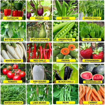 BHUSAN All Season Vegetable Combo Pack With High Germination Seed(2900 per packet)