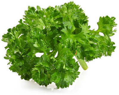 EKAKSHAR CORIANDER Seed(40 per packet)