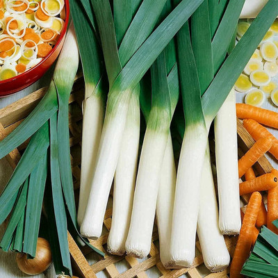 Biosnyg Non GMO American Flag Leek Vegetable Seeds For Gardening-(3000 Seeds) Seed(3000 per packet)