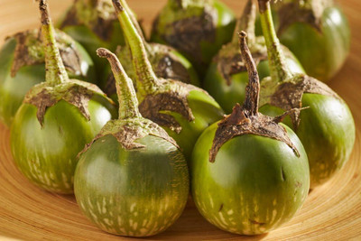 Biosnyg Fresh Eggplant Thai Round Green Brinjal ( Seeds) Seed(1000 per packet)