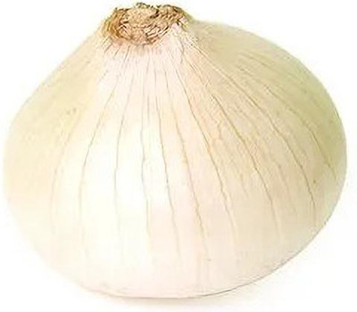 XOLDA Organic Onion white Seed(15 per packet)