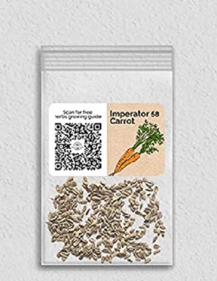 Biosnyg HFD-33 Imperator 58 Carrot-[800 Seeds] Seed(800 per packet)