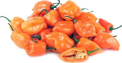 Biosnyg Hybrid Habanero Orange Chilli Vegetable Seeds For Gardening-(4000 Seeds) Seed(4000 per packet)