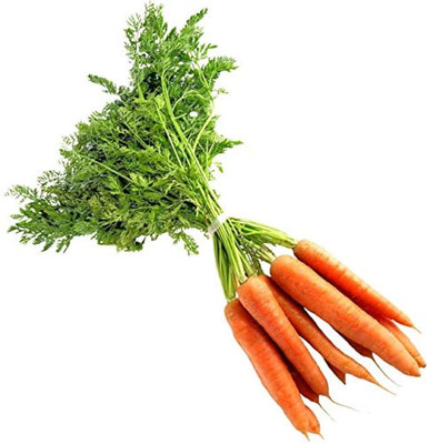 AloGardening Hybrid F1 Carrot/Gajar Vegetables Seeds Seed(85 per packet)