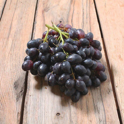 Quentova Black Globe Grape Extra Super Sweet-AHS-88H Seed(100 per packet)