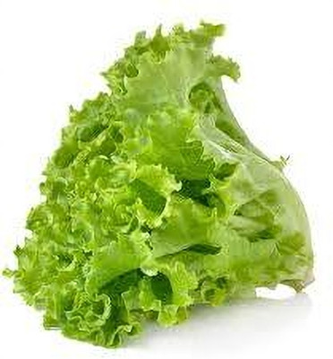 DEYS AGRO ™ lettuce seeds,hybrid iceberg lettuce|salad patta|salad leaf Seed(128 per packet)