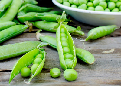 Quentova Super Sweet Peas Matar-LTK-11L Seed(20 per packet)