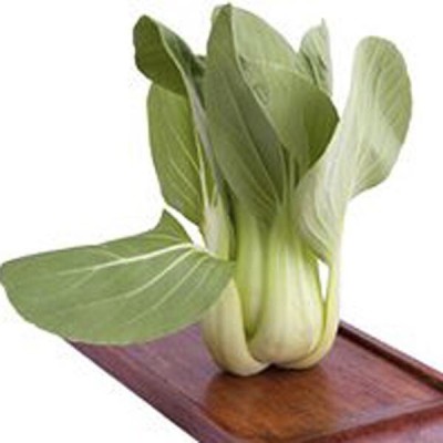 Quentova Pak Choi 'Black Summer' (Brassica rapa)-RJ-5N Seed(200 per packet)