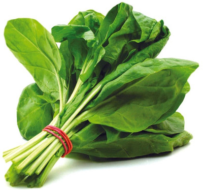 MYLAWN Palak Spinach पालक के बीज Seed(100 per packet)