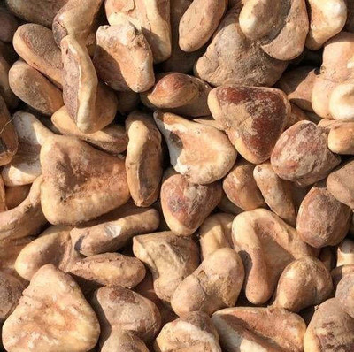 NaturePlanet SINGHARA DRY - SINGHADA SOOKHA - SINGHARA SUKHA - WATER CHESTNUT Seed(900 g)