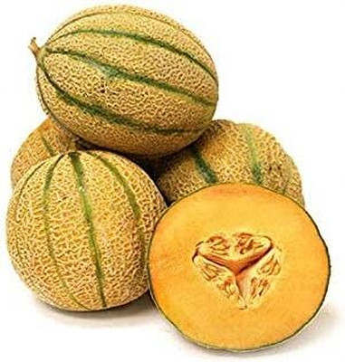 Qualtivate HUA-9A Tuscan Cantaloupe - Super-Sweet Musk Melon Seed(200 per packet)