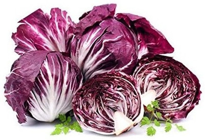 Qualtivate PUA5-A Palla Rossa Lettuce Seeds Seed(300 per packet)