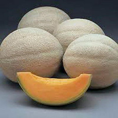 Qualtivate GBPT-1A Green Honeydew Musk Melon Seed Seed(200 per packet)