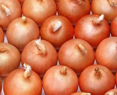Qualtivate HUA-8A Onion Orange Seeds Seed(500 per packet)