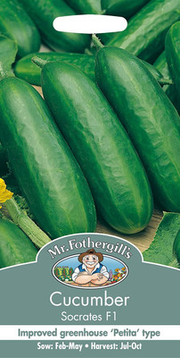 CYBEXIS Vegetable Seeds, Cucumber Socrates F1-250 Seeds Seed(250 per packet)