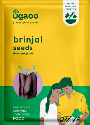 UGAOO Brinjal Banarasi Giant Vegetable Seed(1 g)