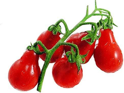 Qualtivate ICRA-3A Red Pear Cherry Tomato Seed(300 per packet)