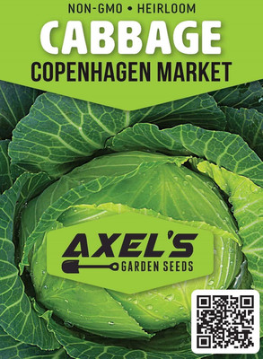 WILLVINE SYN -II Copenhagen Cabbage Seeds [25g] Seed(7500 per packet)