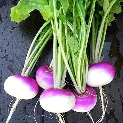 Aywal Turnip Shalgam White Purple Seed(2000 per packet)