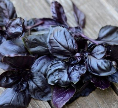 VibeX ® VXI-15 Amethyst Improved Basil Seed(1000 per packet)