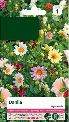 CRGO DAHLIA Seed(10 per packet)