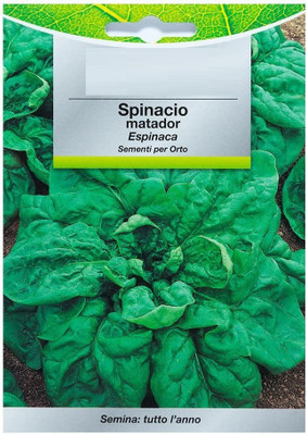 CYBEXIS Early Spinach Seeds 4000 Seeds Seed(4000 per packet)