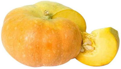 CYBEXIS KGF -88 - Cucurbita Pumpkin Premium Hybrid Quality - (300 Seeds) Seed(300 per packet)