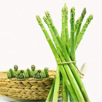 CYBEXIS Asparagus Seeds for Gardening Planting100 Seeds Seed(100 per packet)