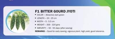 CYBEXIS F1 BITTER GOURD JYOTI(500 Seeds) Seed(500 per packet)
