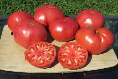 Qualtivate RES-5A Heirloom Beefsteak Tomato Seed(300 per packet)