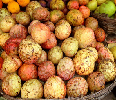 ibains Ata fruit seeds,annona fruit seeds/Custard ap[ple seeds for plant Seed(15 per packet)