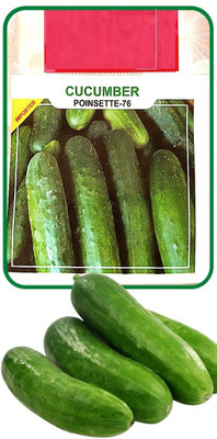 VibeX ® XLR-835 CUCUMBER |Easy To Grow Seed(200 per packet)
