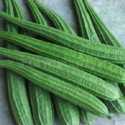 KANAYA Dhari Tori Vegetable Seed(23 per packet)