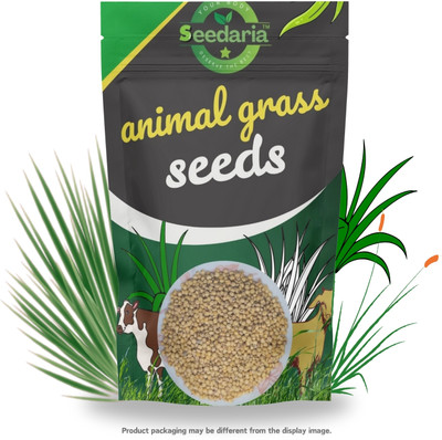 SEEDARIA Animal grass seeds, sudan grass seeds Seed(2150 per packet)