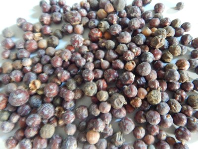 Urancia Abhal dried Juniper Berry Juniprus Communis Hayabusa Hauber with seed 150gm Seed(1 per packet)